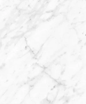 6696F Carrara Bianco